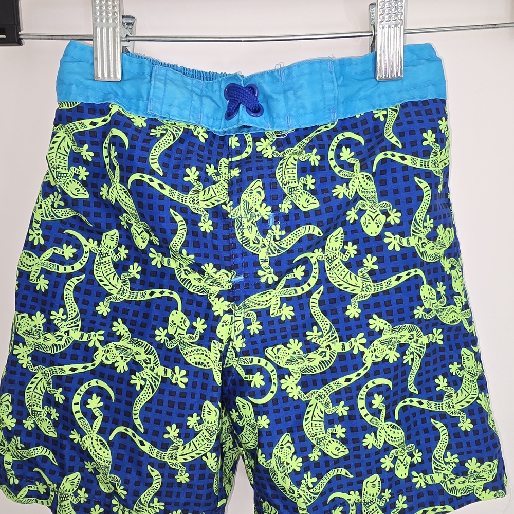 LILY And DAN Kids Swim Trunks with Lizard Print‎ - Blue and Green Boys